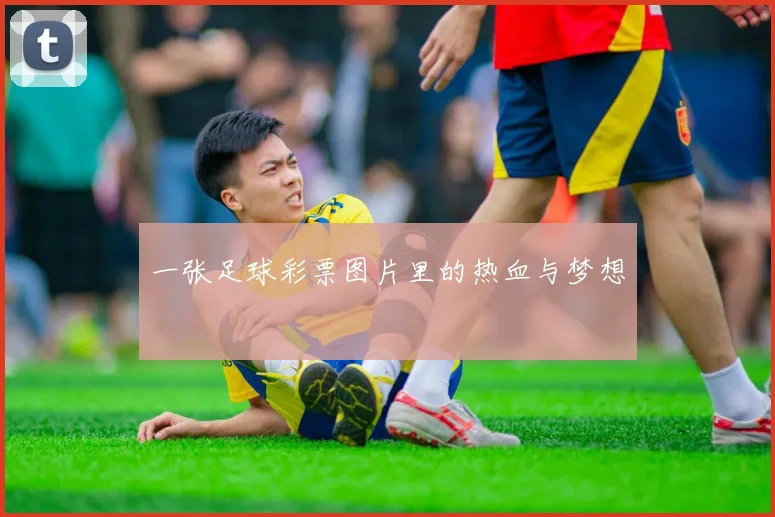 一张足球彩票图片里的热血与梦想