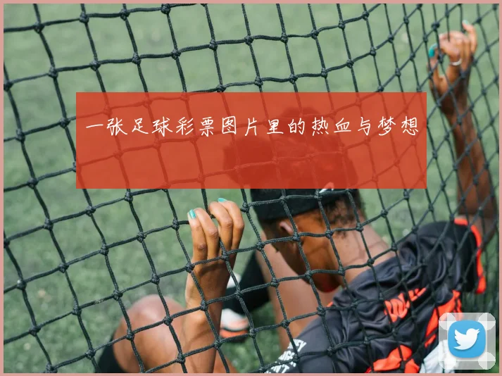 一张足球彩票图片里的热血与梦想