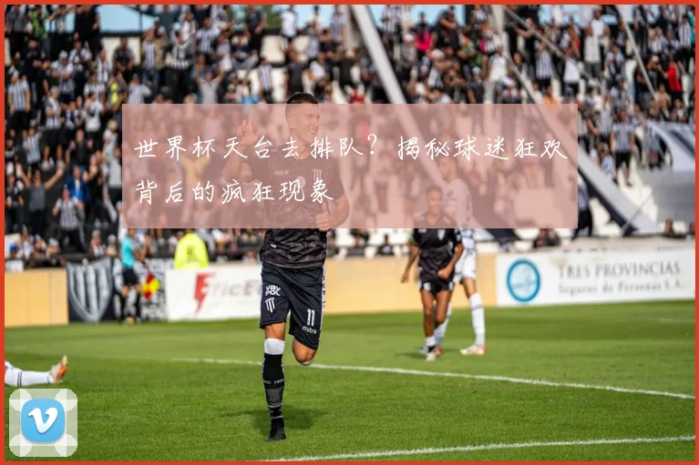 世界杯天台去排队？揭秘球迷狂欢背后的疯狂现象
