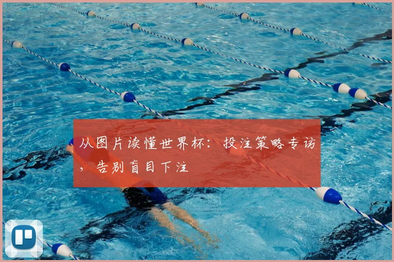 从图片读懂世界杯：投注策略专访，告别盲目下注